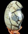 Septarian Dragon Egg Geode - Crystal Filled #73780-2